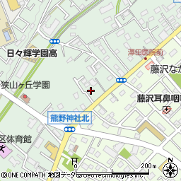 埼玉県入間市下藤沢1027周辺の地図