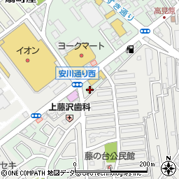 埼玉県入間市下藤沢428周辺の地図