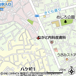 千葉県松戸市二ツ木208-1周辺の地図