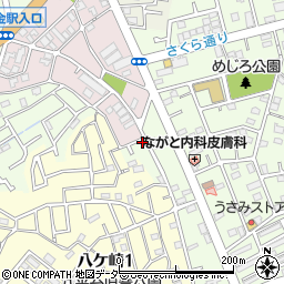 千葉県松戸市二ツ木208-10周辺の地図