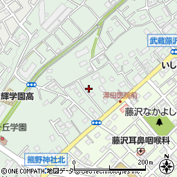 埼玉県入間市下藤沢725周辺の地図