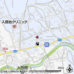 埼玉県入間市新久797周辺の地図