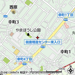 埼玉県志木市幸町3丁目2-48周辺の地図