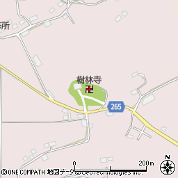 樹林寺周辺の地図