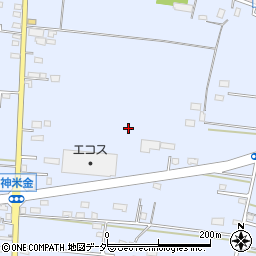 埼玉県所沢市神米金周辺の地図
