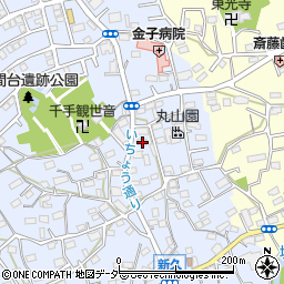 埼玉県入間市新久697周辺の地図