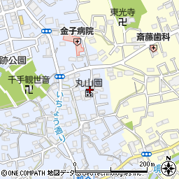 埼玉県入間市新久688周辺の地図