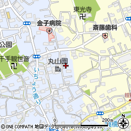 埼玉県入間市新久673周辺の地図