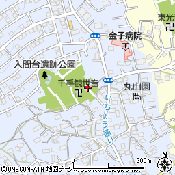 埼玉県入間市新久717周辺の地図