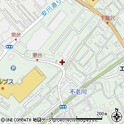 埼玉県入間市下藤沢1094周辺の地図