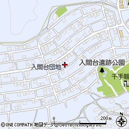 埼玉県入間市新久866-123周辺の地図