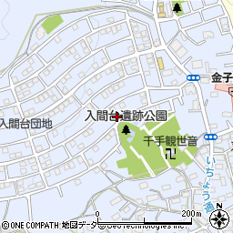 埼玉県入間市新久866-53周辺の地図