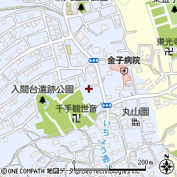 埼玉県入間市新久716-12周辺の地図