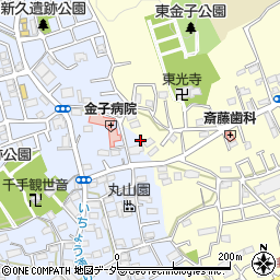 埼玉県入間市新久677-1周辺の地図