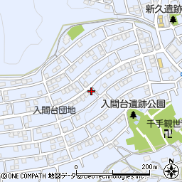 埼玉県入間市新久866-138周辺の地図