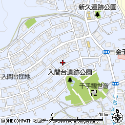 埼玉県入間市新久900-16周辺の地図