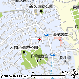 埼玉県入間市新久704周辺の地図
