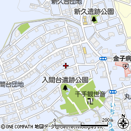 埼玉県入間市新久899周辺の地図