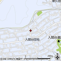 埼玉県入間市新久866-224周辺の地図
