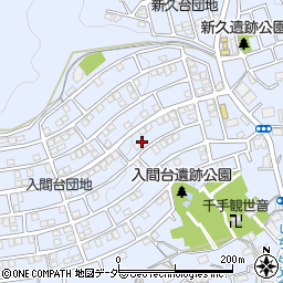 埼玉県入間市新久900-25周辺の地図