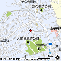 埼玉県入間市新久895-3周辺の地図