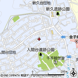 埼玉県入間市新久895-9周辺の地図