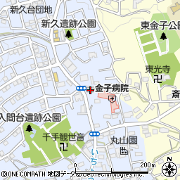 埼玉県入間市新久702周辺の地図
