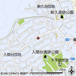 埼玉県入間市新久895-26周辺の地図