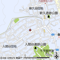 埼玉県入間市新久895周辺の地図