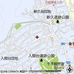 埼玉県入間市新久895-38周辺の地図