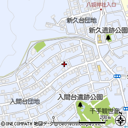 埼玉県入間市新久895-48周辺の地図