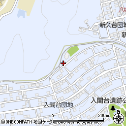 埼玉県入間市新久866周辺の地図