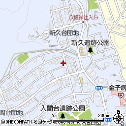 埼玉県入間市新久915周辺の地図