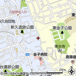 埼玉県入間市新久938周辺の地図