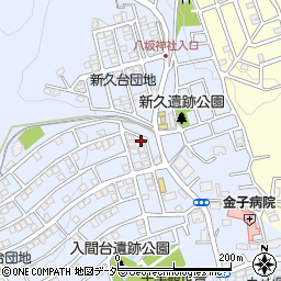 埼玉県入間市新久915-47周辺の地図