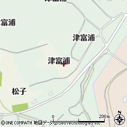 千葉県成田市津富浦273周辺の地図