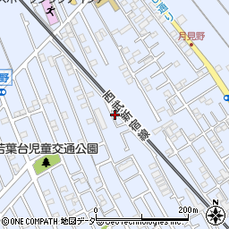 埼玉県狭山市水野490周辺の地図