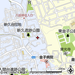 埼玉県入間市新久940周辺の地図