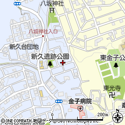 埼玉県入間市新久941-3周辺の地図