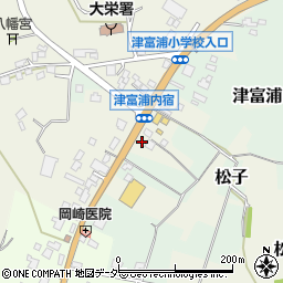 千葉県成田市津富浦900周辺の地図