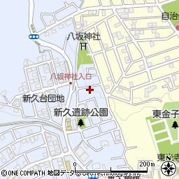 埼玉県入間市新久945-19周辺の地図
