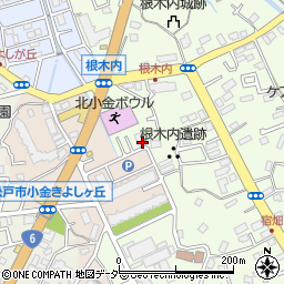 千葉県松戸市根木内256-2周辺の地図
