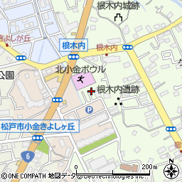 千葉県松戸市根木内256-11周辺の地図