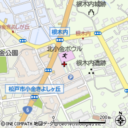 千葉県松戸市根木内256-26周辺の地図