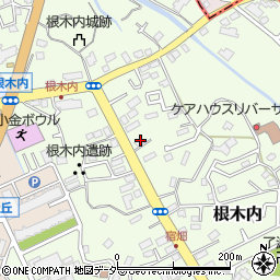 千葉県松戸市根木内208-1周辺の地図