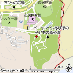 埼玉県飯能市阿須893周辺の地図