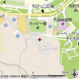 埼玉県飯能市阿須891周辺の地図