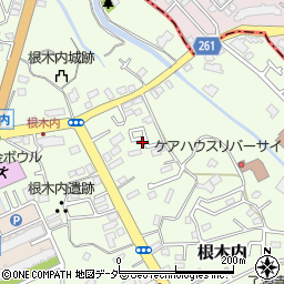 千葉県松戸市根木内217-9周辺の地図