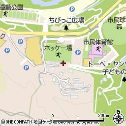 埼玉県飯能市阿須812周辺の地図
