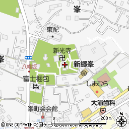埼玉県川口市峯1319周辺の地図